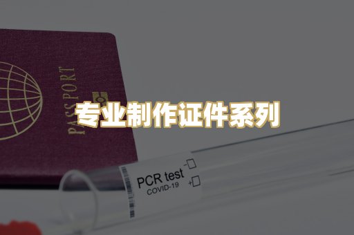 专业制作证件系列